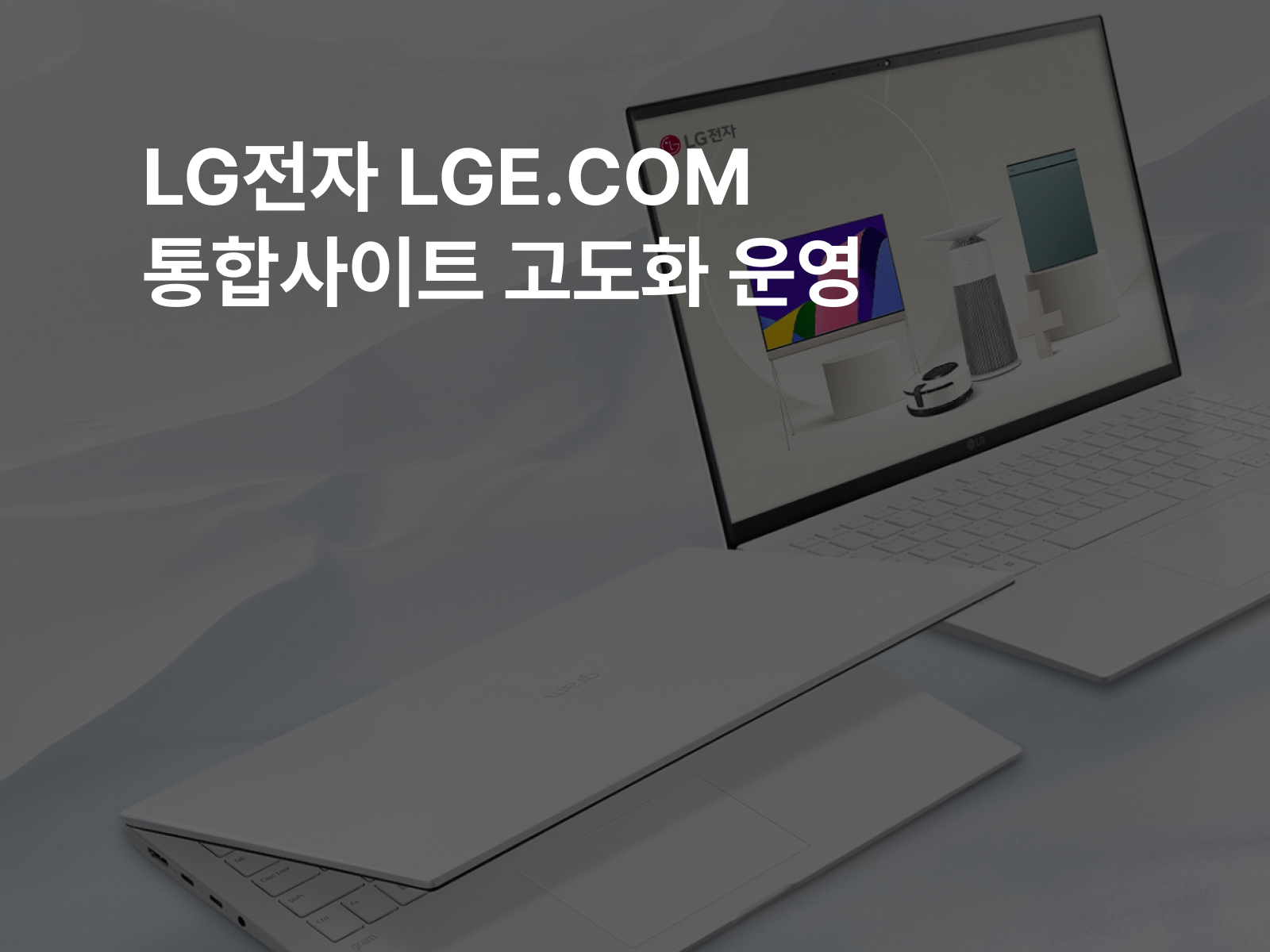 LG전자 LGE.COM 통합사이트 고도화 운영 썸네일